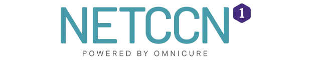 NETCCN One logo